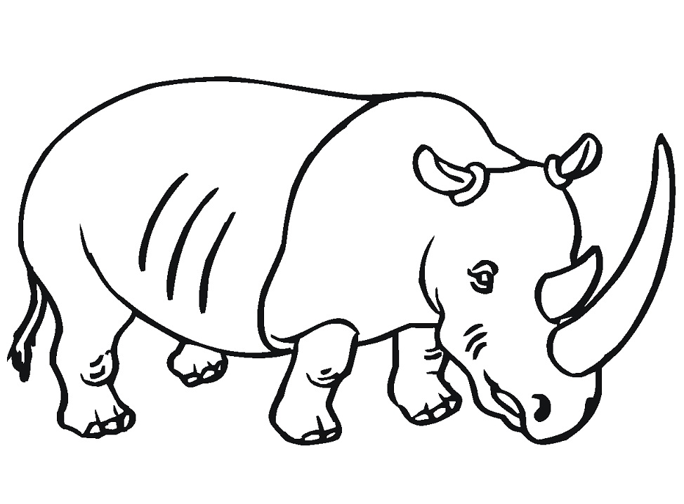 Rhino with Big Horn Coloring Game Rhino with Big Horn