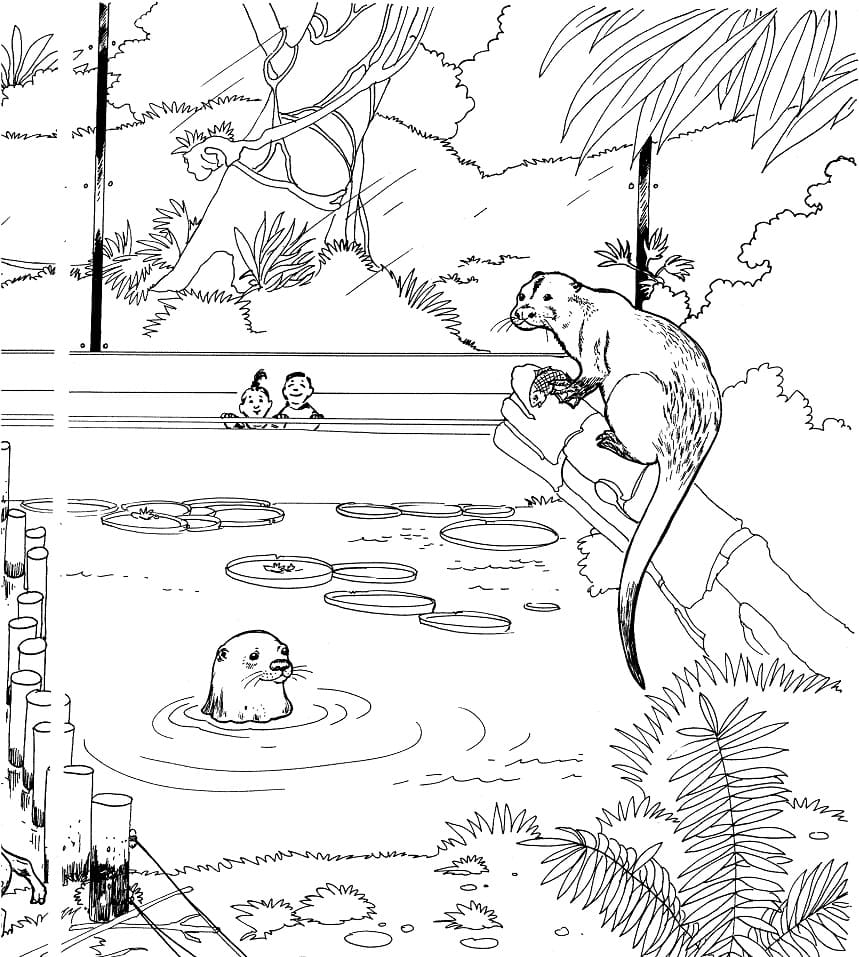 River Otter in a Zoo