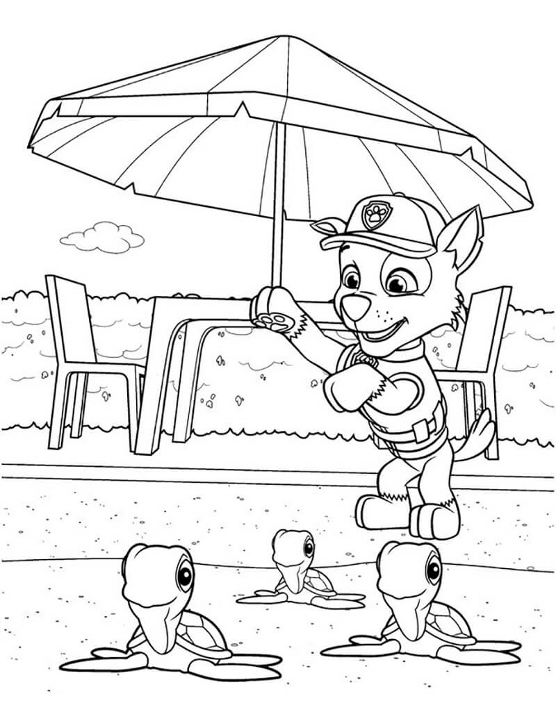 Rocky Paw Patrol 3