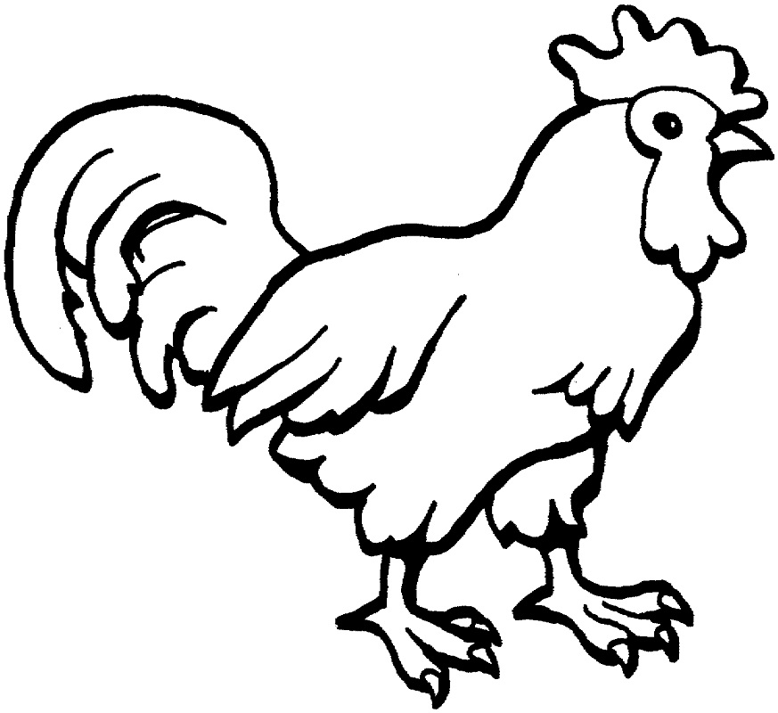 Rooster Image