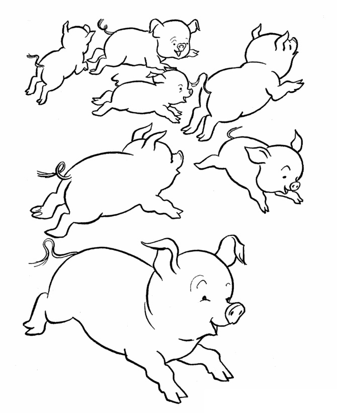Runaway Pigs Coloring Game Runaway Pigs