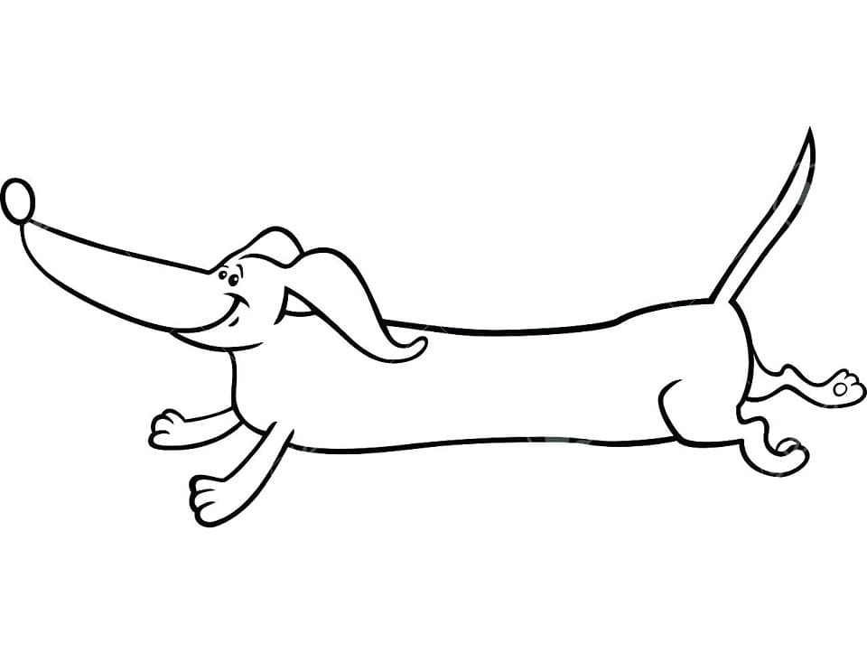 Running Dachshund Coloring Game Running Dachshund
