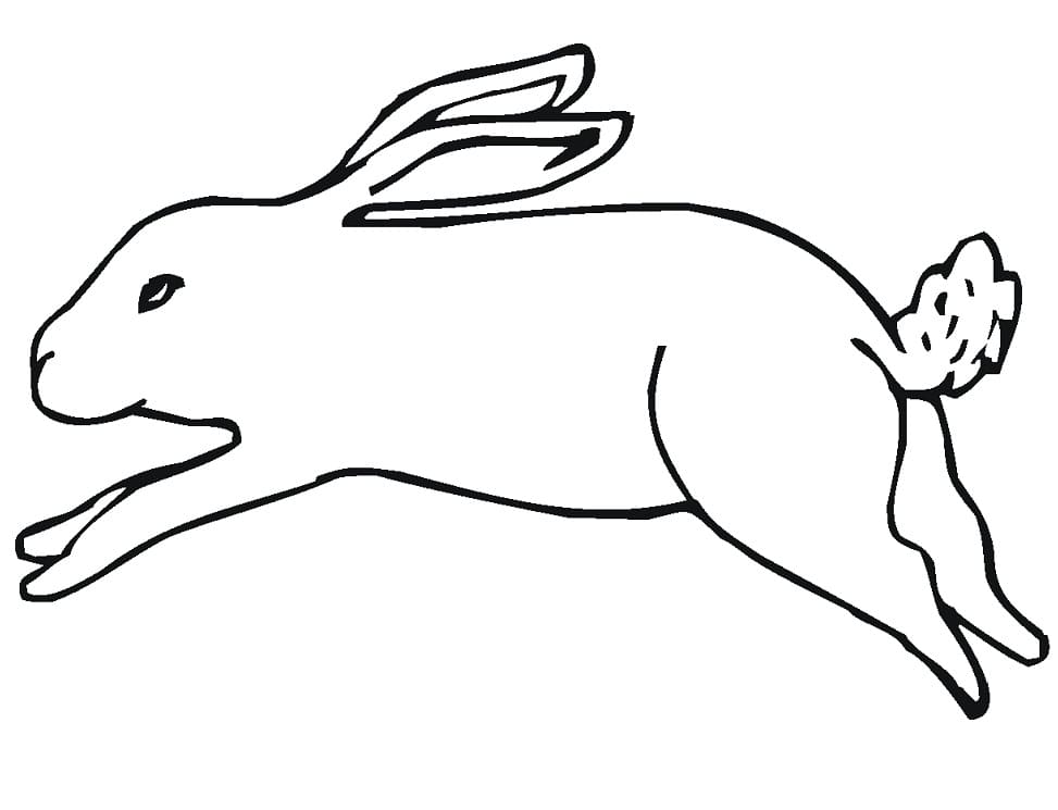 Running Jack Rabbit Coloring Game Running Jack Rabbit