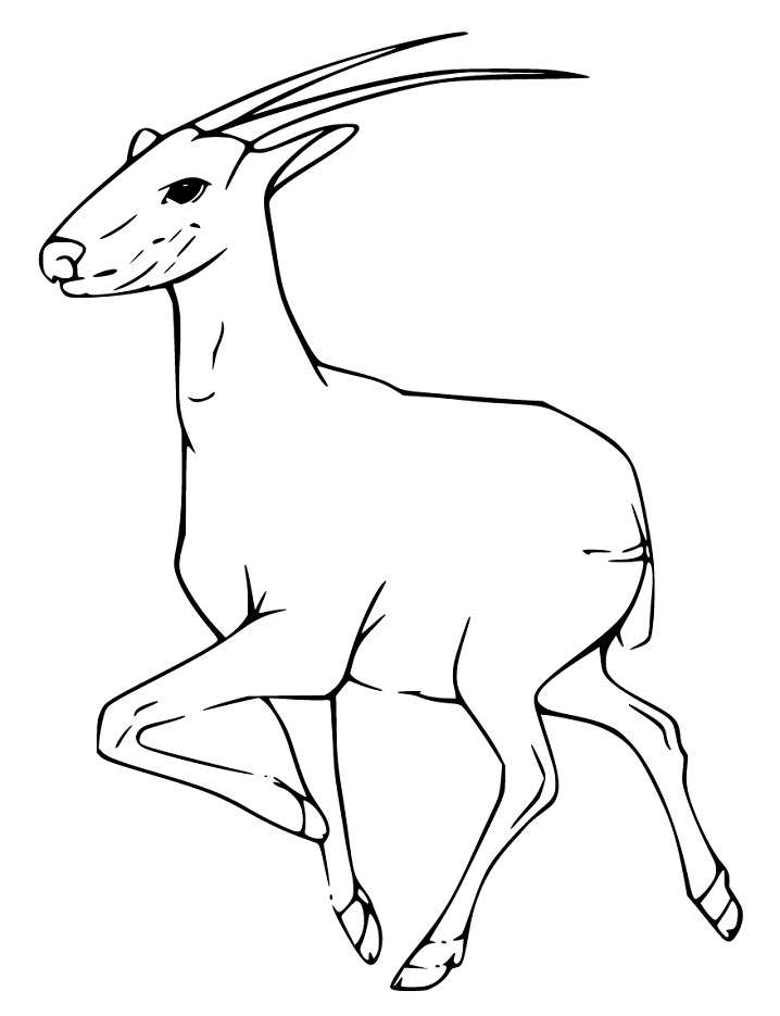 Saola