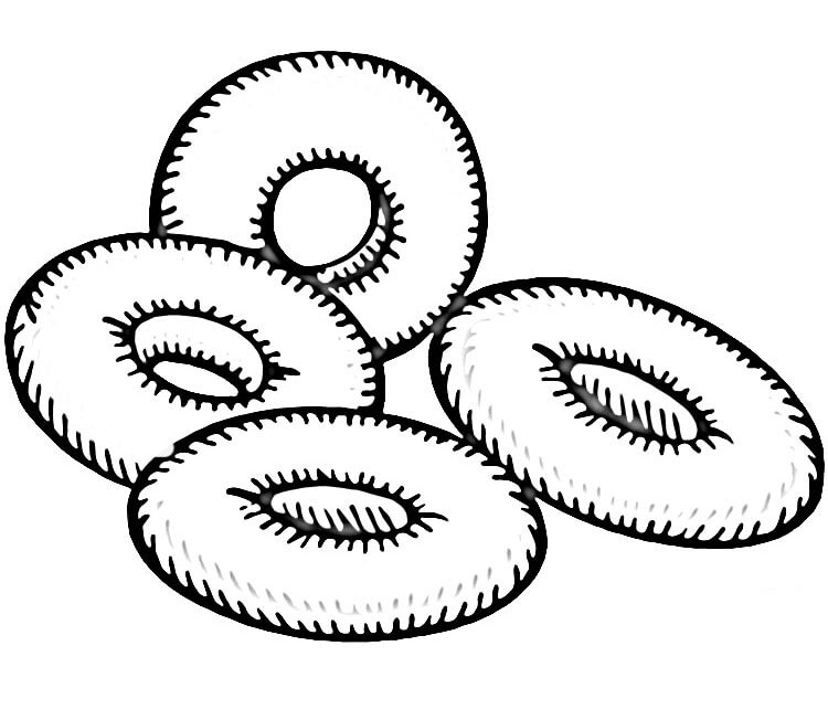 Russian Bagels Coloring Game Russian Bagels