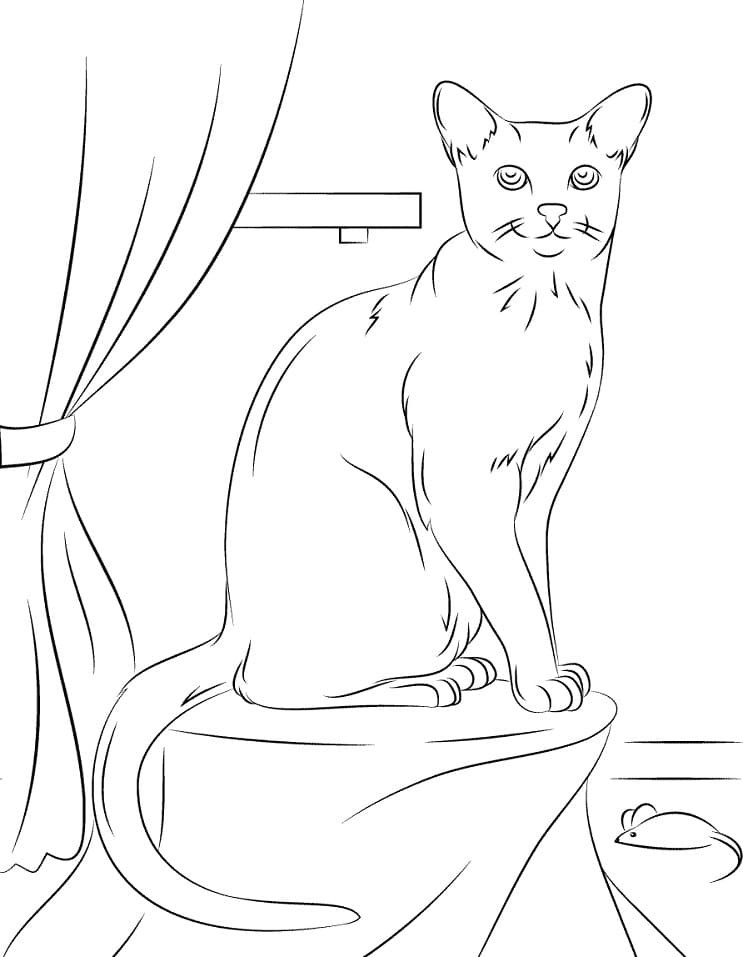 Russian Blue Cat Coloring Game Russian Blue Cat