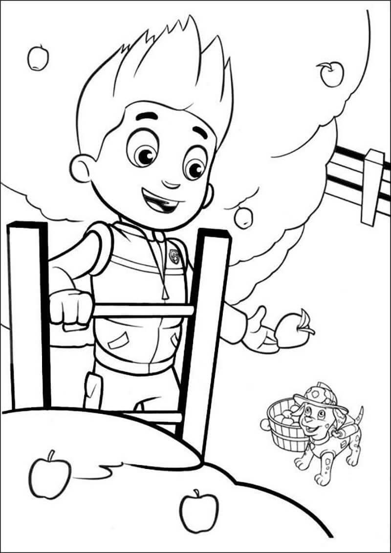 Ryder Paw Patrol 2 Coloring Game Ryder Paw Patrol 2
