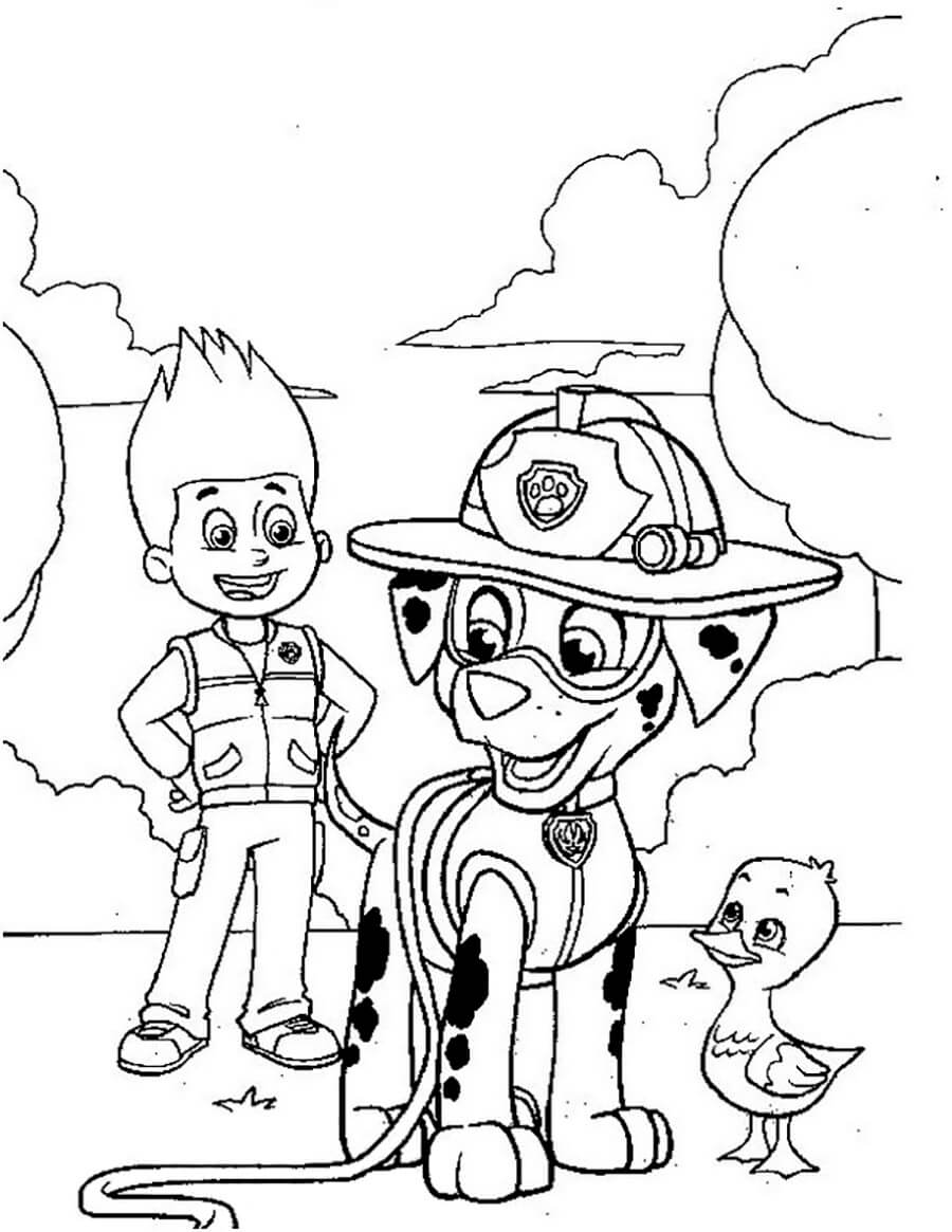 Ryder and Marshall Coloring Game Ryder and Marshall