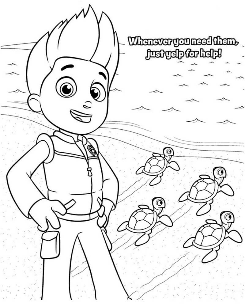 Ryder and Turtles Coloring Game Ryder and Turtles