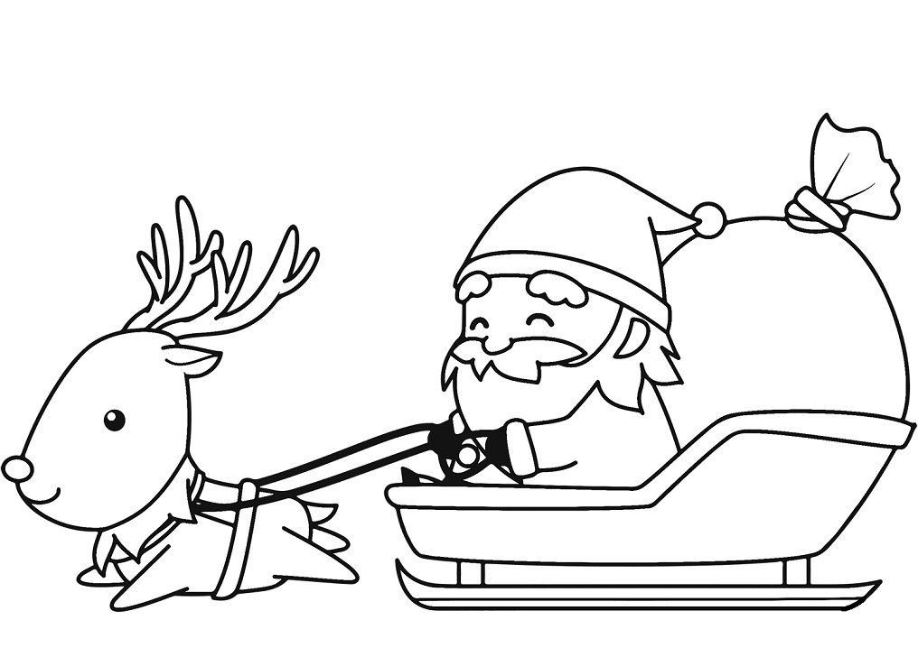 Santa in Sleigh