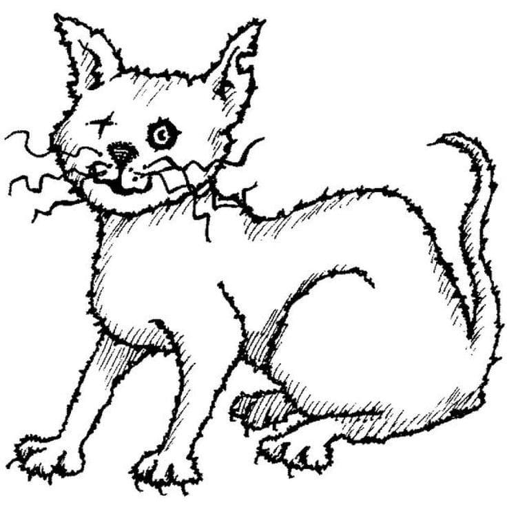 Scary Cat Coloring Game Scary Cat