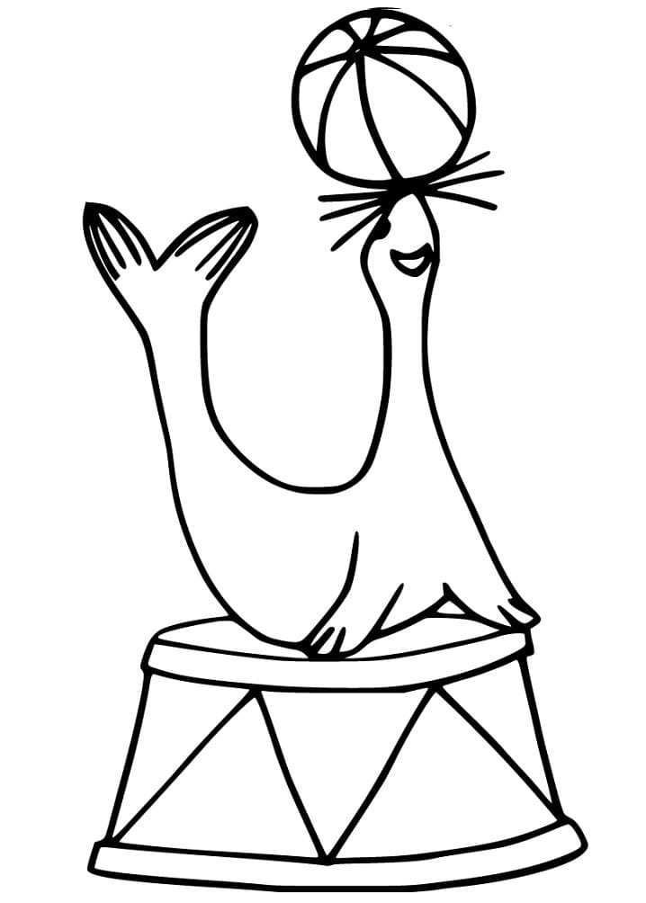 Sea Lion 2 Coloring Game Sea Lion 2