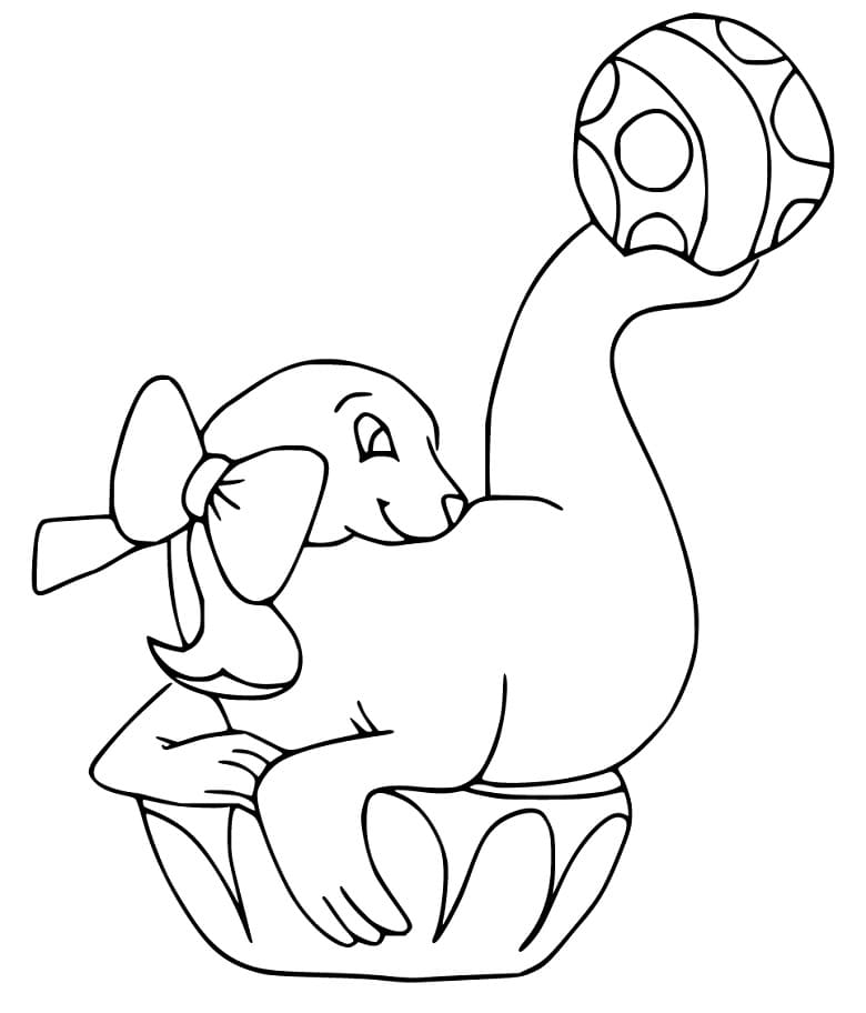 Sea Lion 3 Coloring Game Sea Lion 3