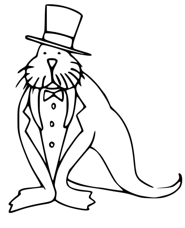Sea Lion Magician Coloring Game Sea Lion Magician