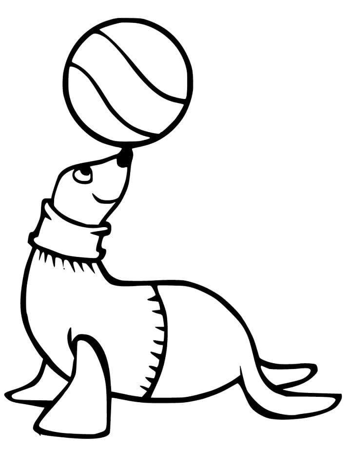 Sea Lion Playing Ball Coloring Game Sea Lion Playing Ball