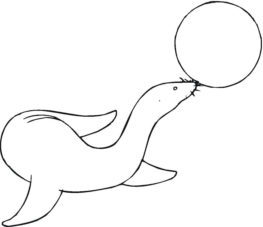 Sea Lion and Ball Coloring Game Sea Lion and Ball