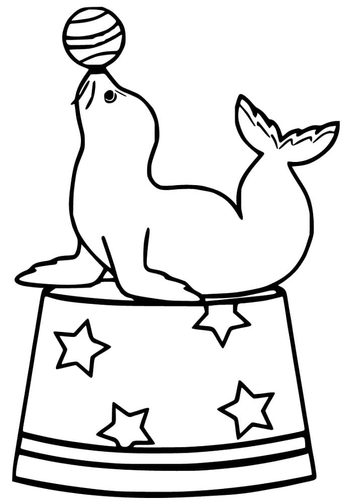 Sea Lion in Circus Coloring Game Sea Lion in Circus