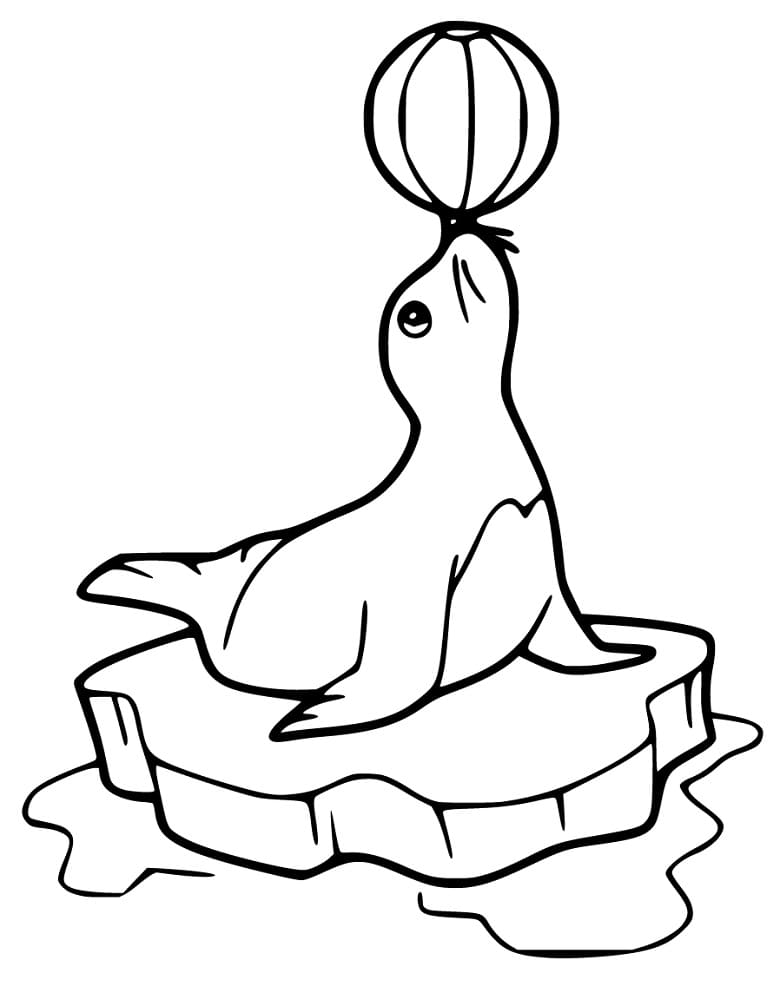 Sea Lion on Ice Coloring Game Sea Lion on Ice