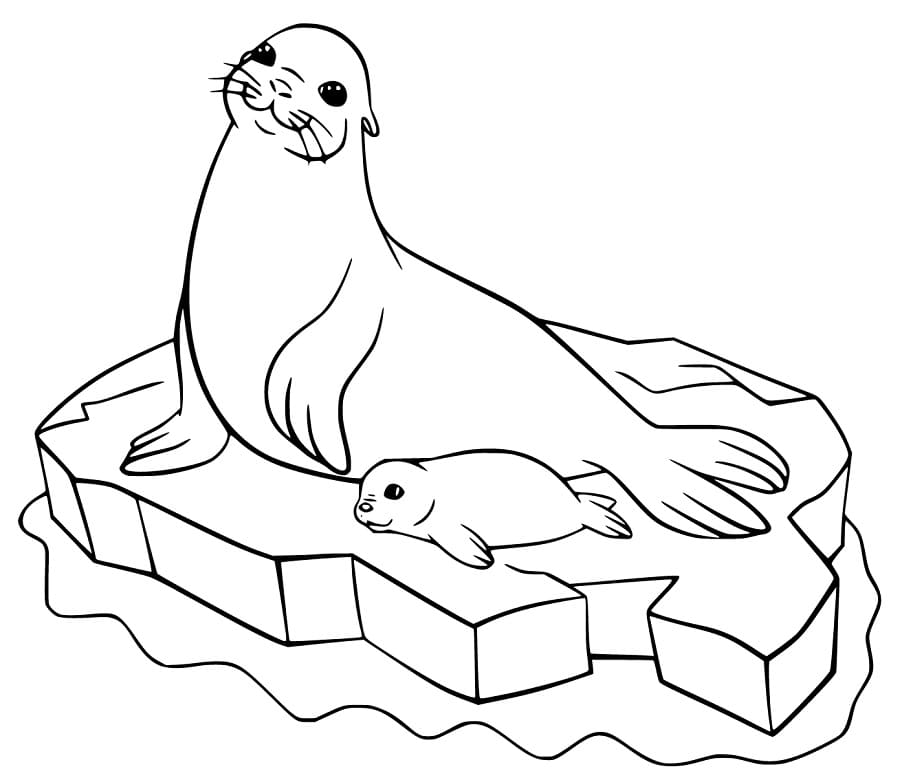 Sea Lions on Ice Coloring Game Sea Lions on Ice
