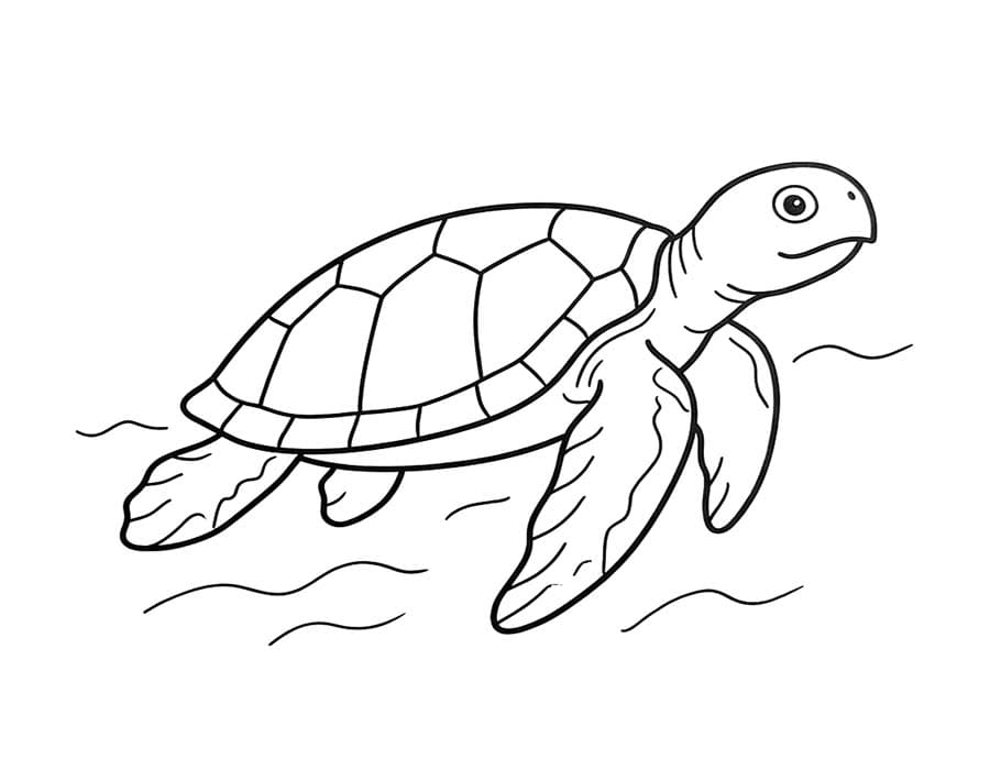 Sea Turtle Free