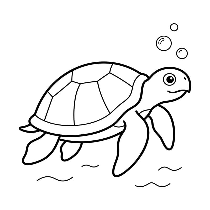 Sea Turtle Printable