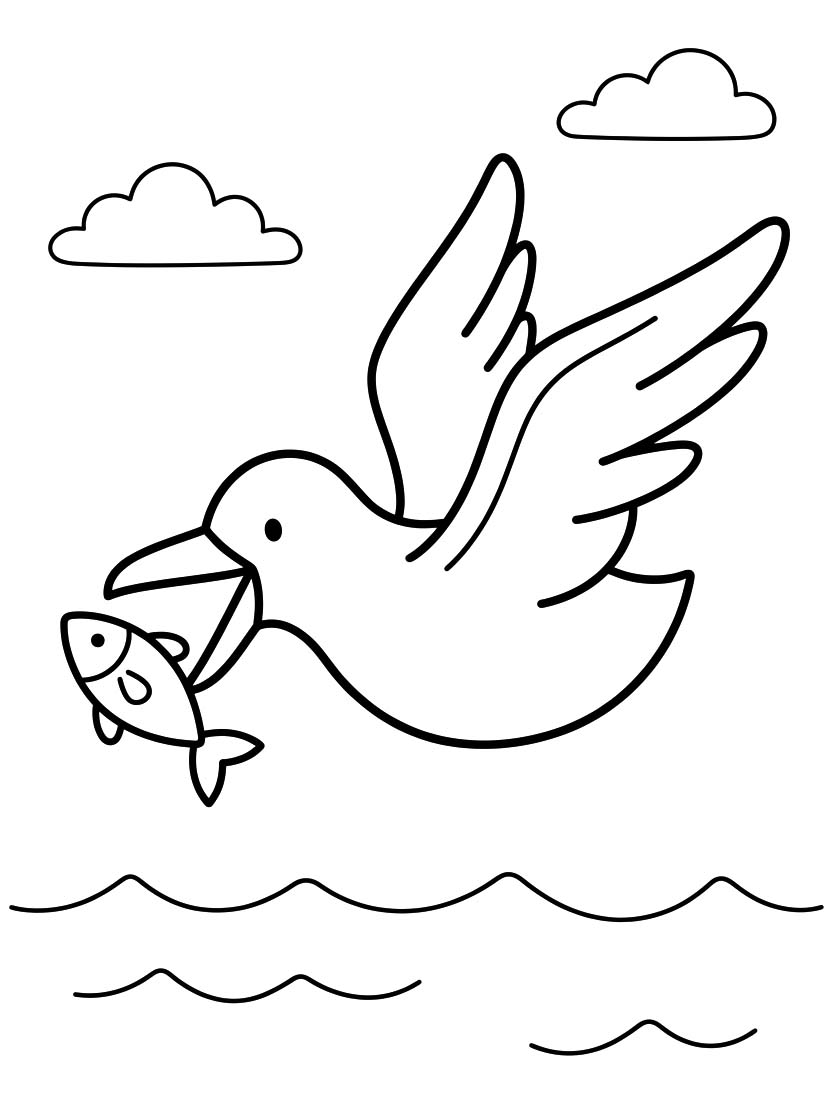 Seagull Easy
