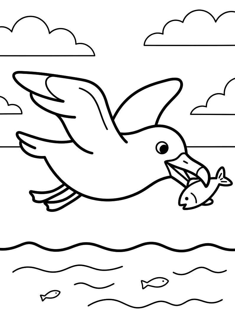 Seagull Free