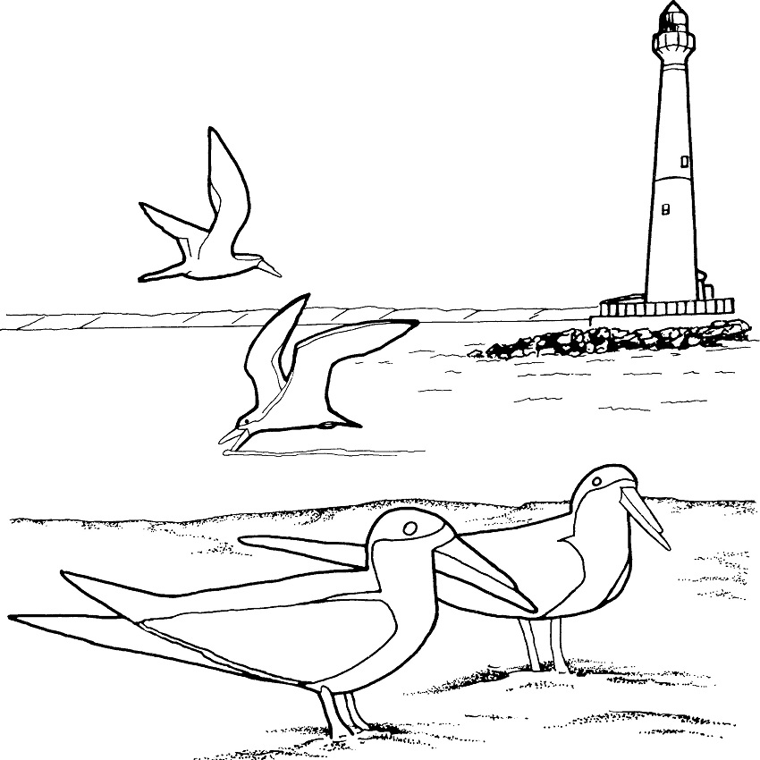 Seagulls and Lighthouse Coloring Game Seagulls and Lighthouse