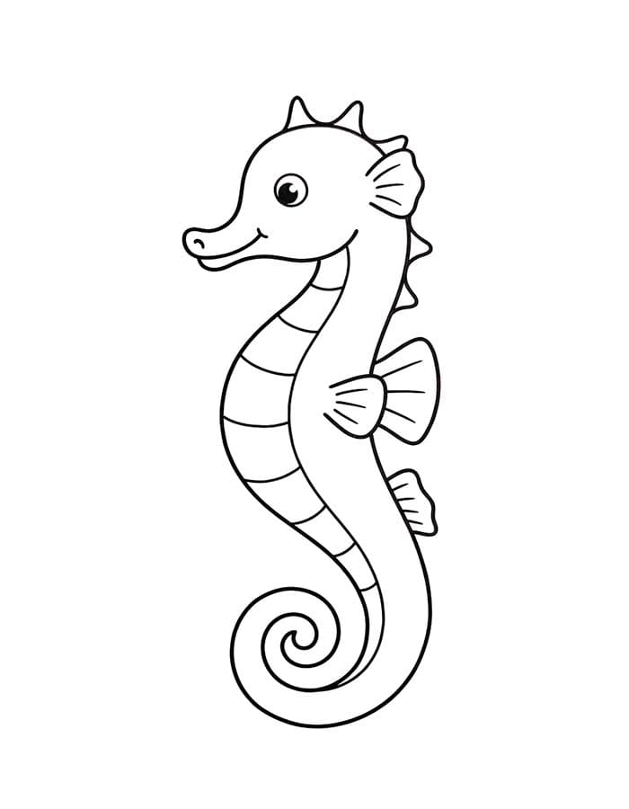 Seahorse Basic