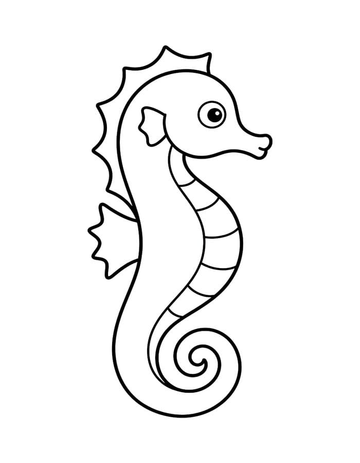 Seahorse Easy