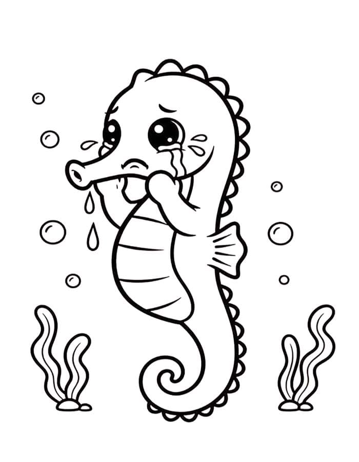 Seahorse Free