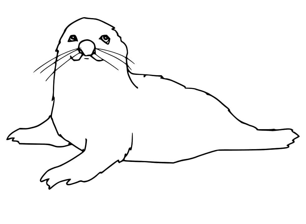Seal 1