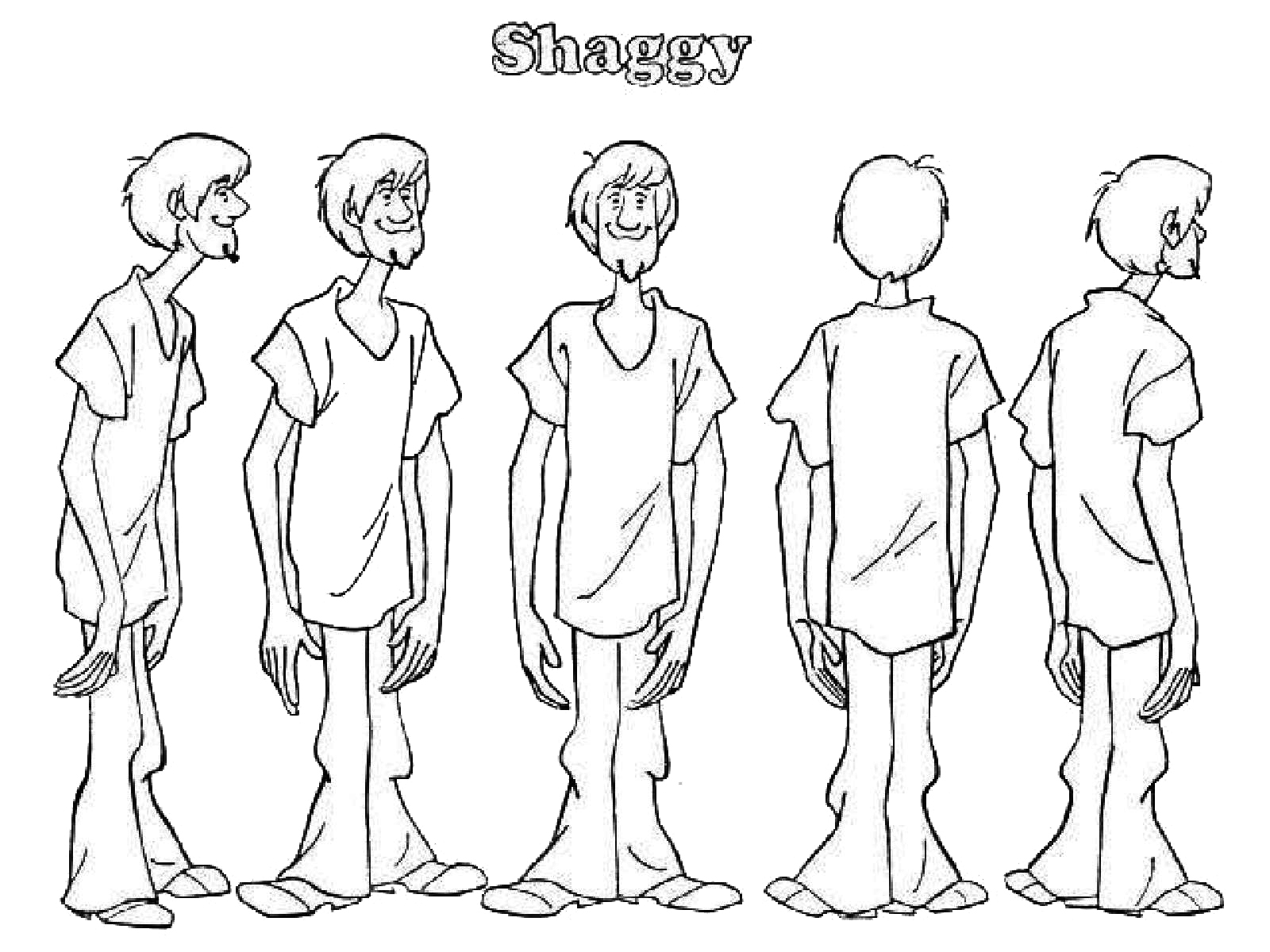 Shaggy 2