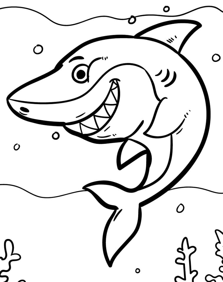 Shark Smiling