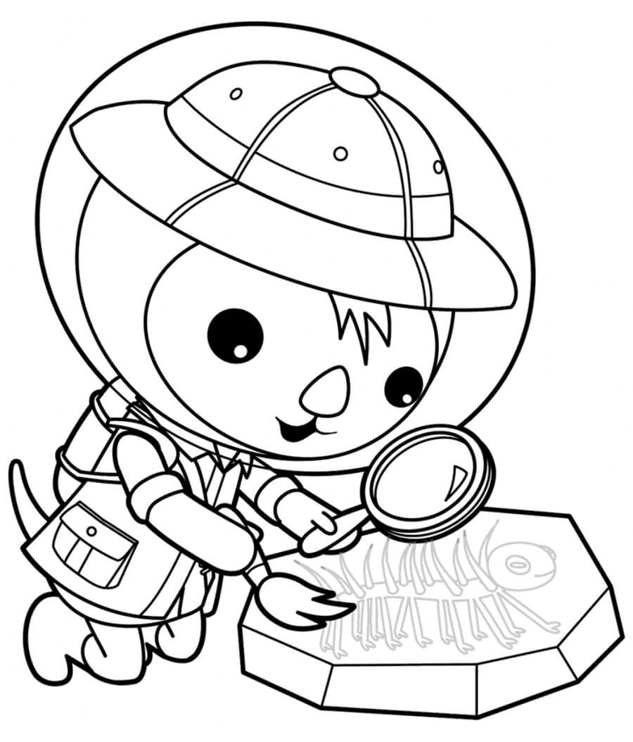 Shellington with Skeleton Fish Coloring Game Shellington with Skeleton Fish