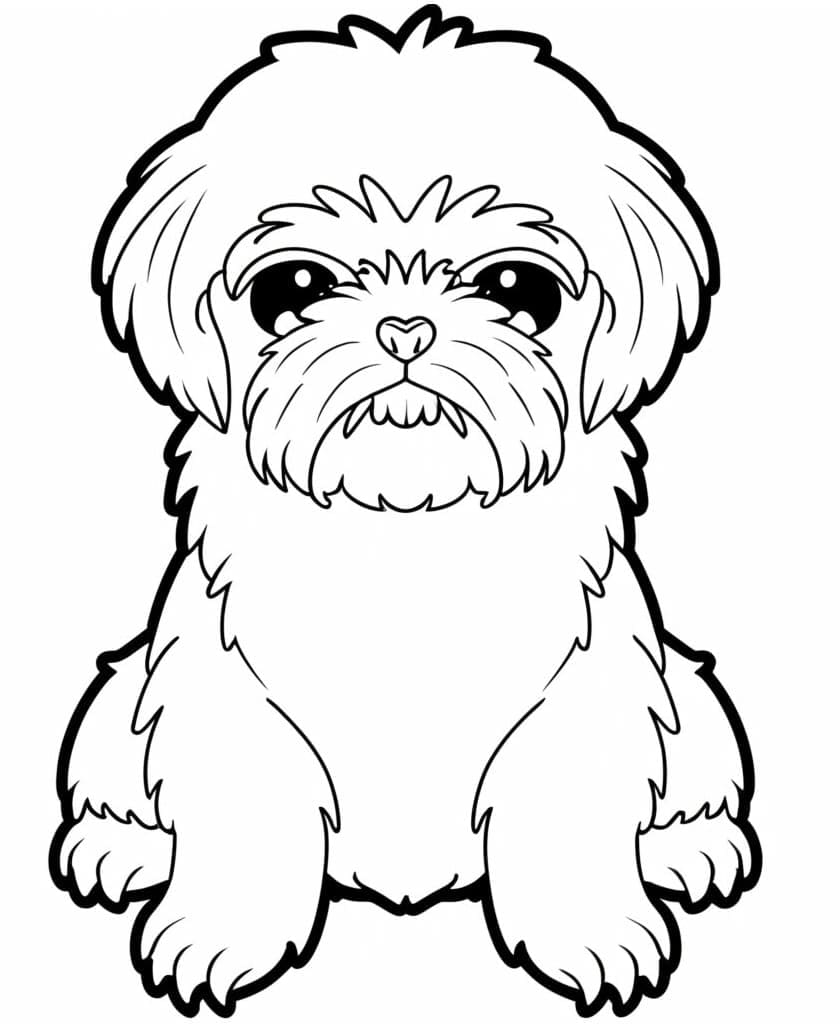 Shih Tzu Printable