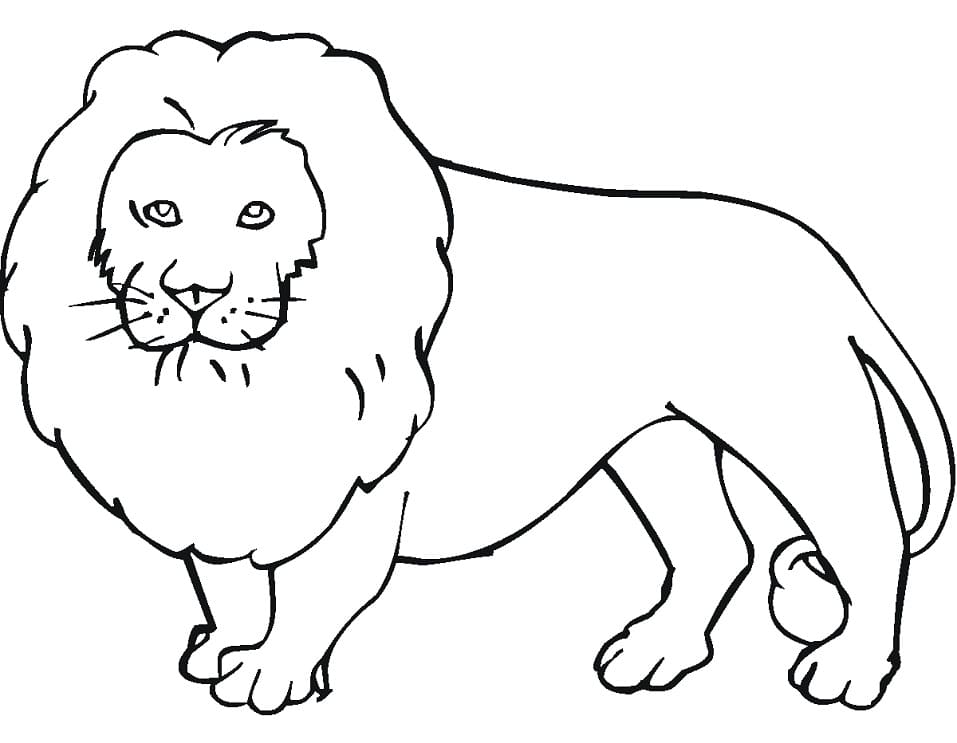 Short Lion