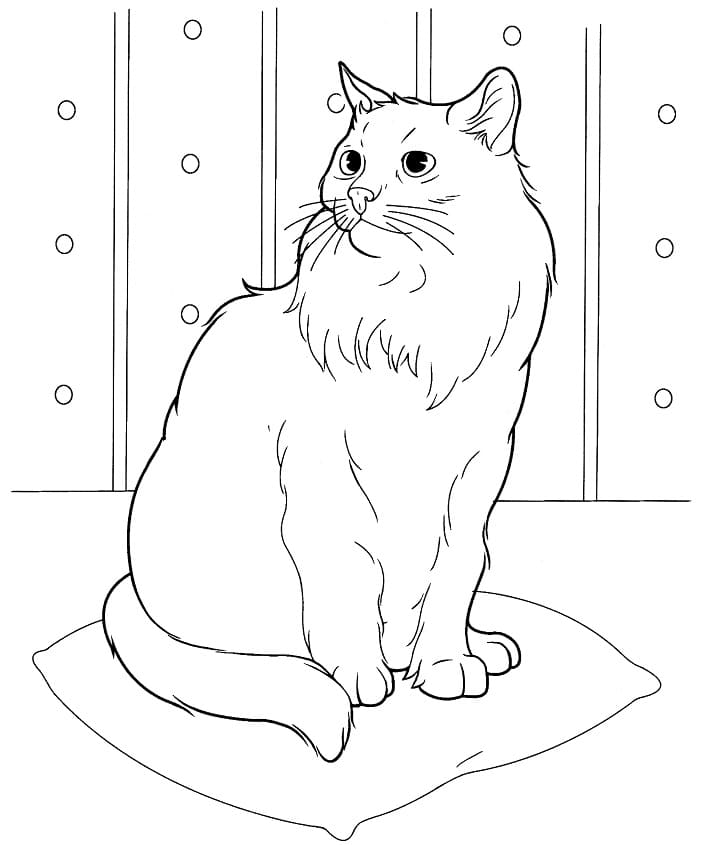 Siberian Cat 1 Coloring Game Siberian Cat 1