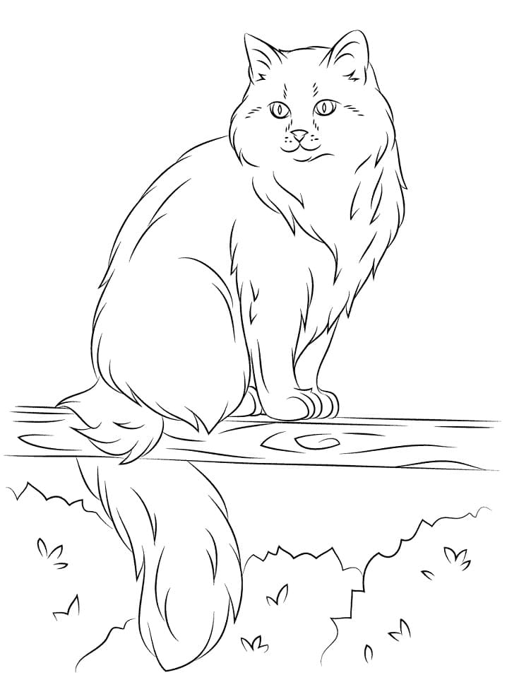 Siberian Cat Coloring Game Siberian Cat