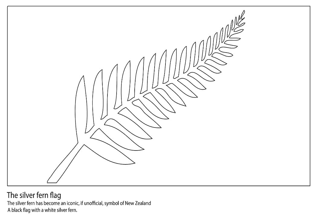 Silver Fern Flag