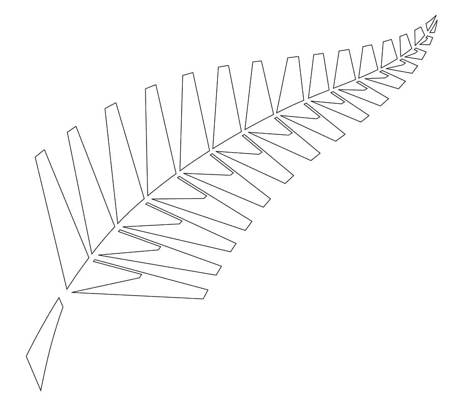 Silver Fern Symbol
