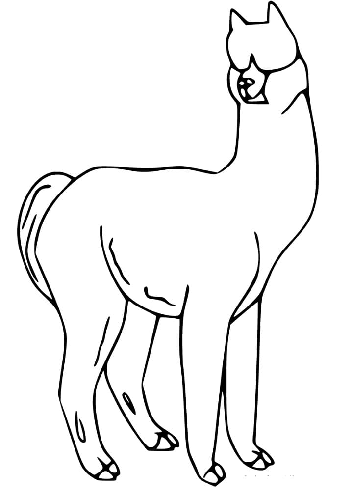 Simple Alpaca