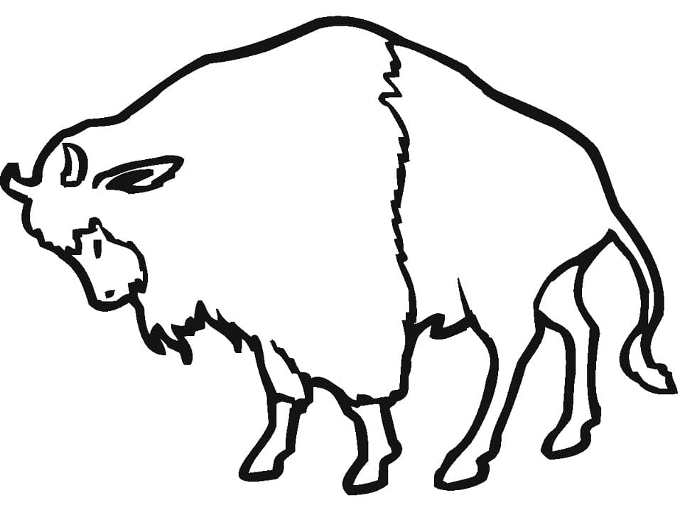 Simple Bison 1 Coloring Game Simple Bison 1