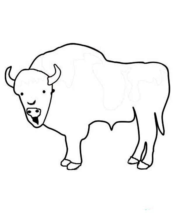 Simple Bison 2 Coloring Game Simple Bison 2