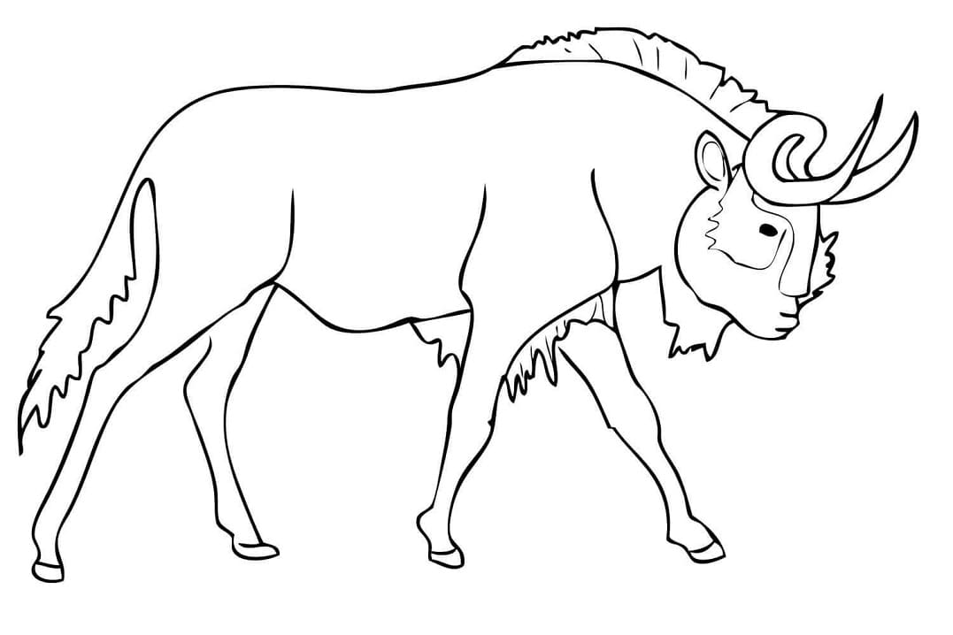 Simple Black Wildebeest