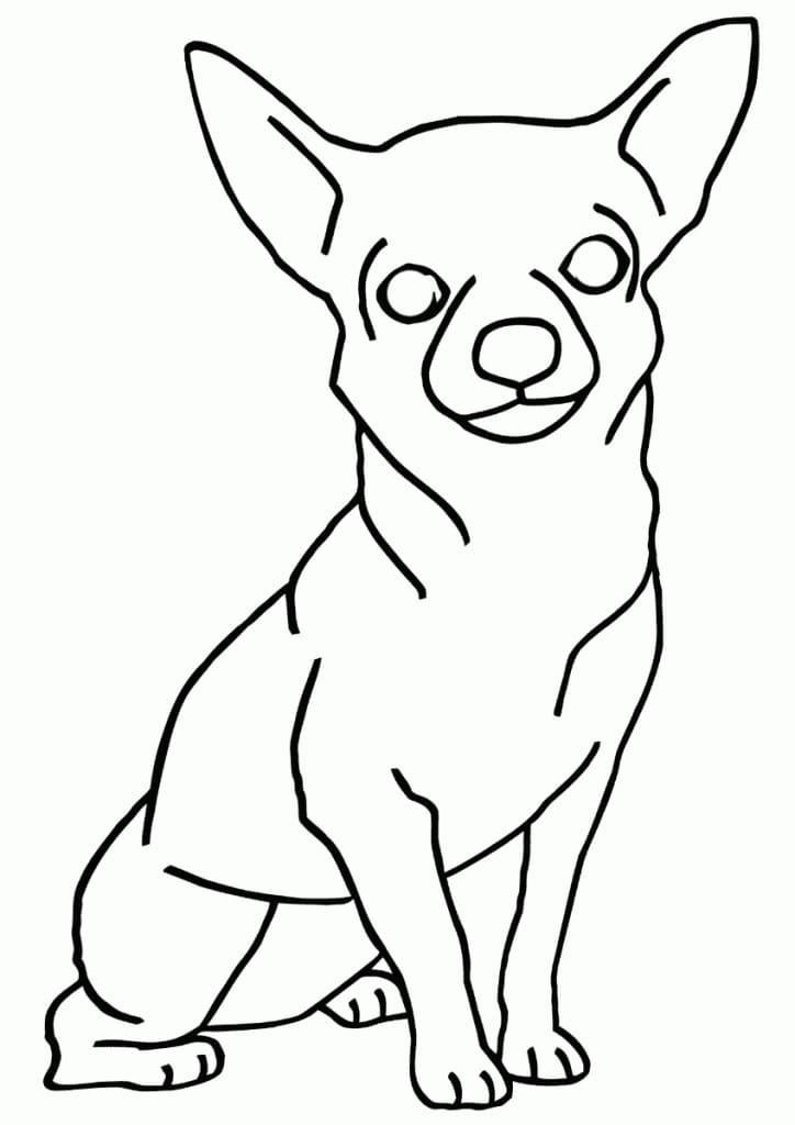 Simple Chihuahua Coloring Game Simple Chihuahua