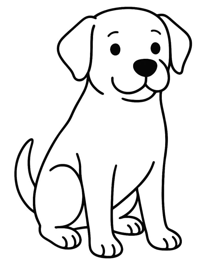 Simple Labrador
