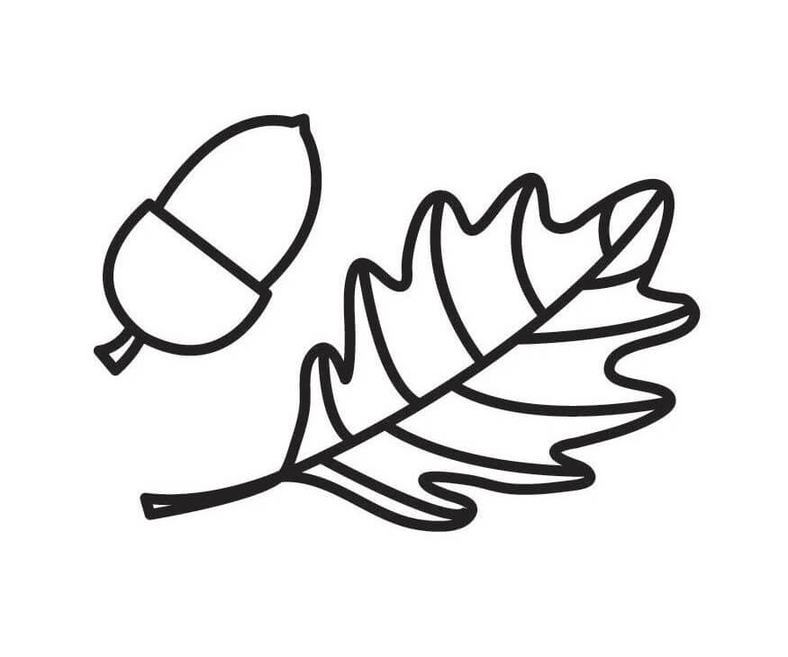 Simple Leaf and Acorn