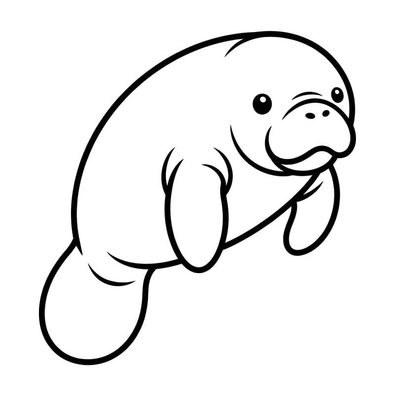 Simple Manatee