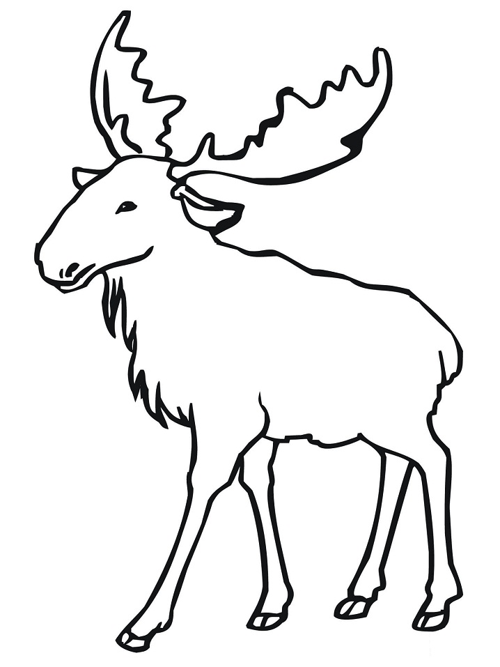 Simple Moose Coloring Game Simple Moose